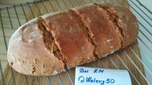 Какие ингредиенты необходимы для приготовления Силезского ржаного хлеба. Силезский ржаной хлеб (темный и светлый)