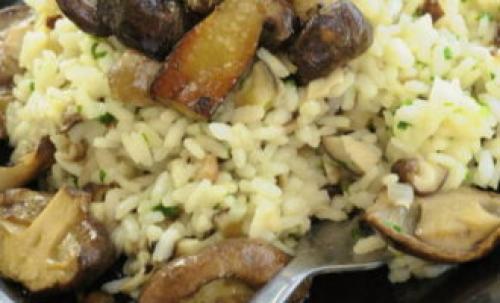Ризотто с курицей и грибами в сливочном соусе. Классический рецепт ризотто с белыми грибами