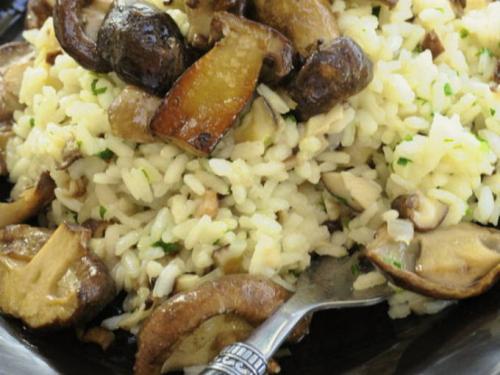 Ризотто с курицей и грибами в сливочном соусе. Классический рецепт ризотто с белыми грибами