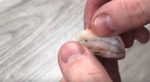 Ризотто с морепродуктами без вина. Ризотто с морепродуктами — вкусные классические рецепты