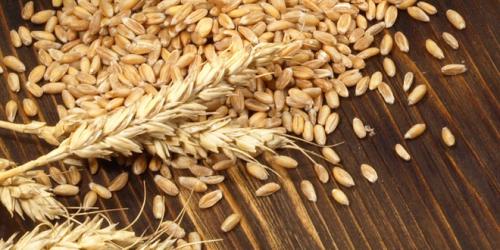 Простой рецепт ржаного хлеба на солоде в духовке 09 Простой рецепт ржаного хлеба на солоде в духовке 09