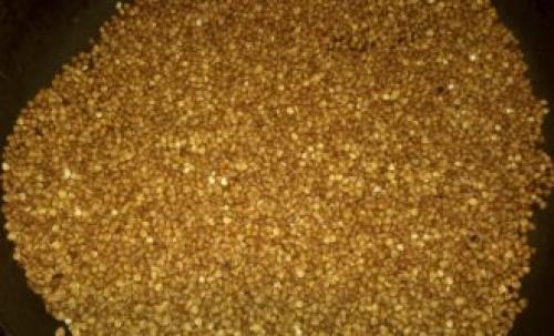 Тыква фаршированная гречкой и грибами. Гречневая каша с грибами и тыквой в духовке