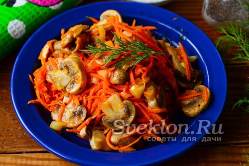 Как приготовить гриб рядовка. Сколько времени и как правильно варить рядовки