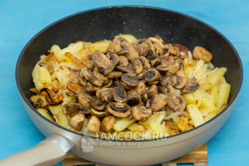 Подтопольники жареные с картошкой, как приготовить. Жареные рядовки с картошкой. Тополиная рядовка: засолка 17 Подтопольники жареные с картошкой, как приготовить. Жареные рядовки с картошкой. Тополиная рядовка: засолка 17