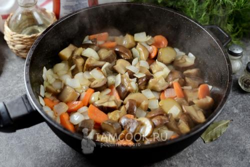 Подтопольники жареные с картошкой, как приготовить. Жареные рядовки с картошкой. Тополиная рядовка: засолка 23 Подтопольники жареные с картошкой, как приготовить. Жареные рядовки с картошкой. Тополиная рядовка: засолка 23