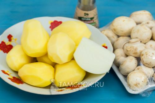 Подтопольники жареные с картошкой, как приготовить. Жареные рядовки с картошкой. Тополиная рядовка: засолка 13 Подтопольники жареные с картошкой, как приготовить. Жареные рядовки с картошкой. Тополиная рядовка: засолка 13