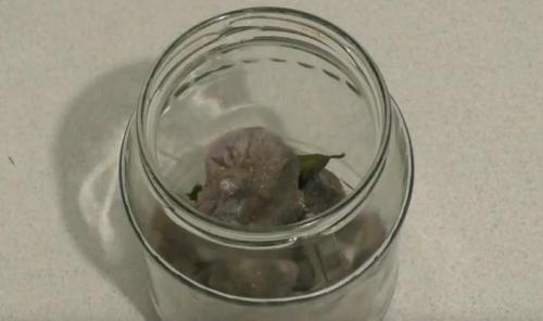 Гриб рядовка лиловоногая, как готовить. Рецепты приготовления блюд из лиловых рядовок