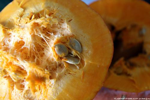 Как приготовить гречневую кашу с мясом в тыкве. Гречка с мясом в тыкве