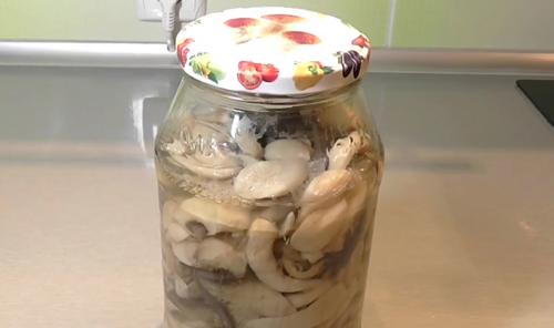 Блюда из рядовок. Жареные рядовки: рецепты, как правильно приготовить грибы