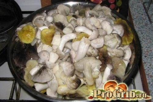 Грибы рядовки способы приготовления в пищу. Как правильно готовить рядовки: обработка, соление и маринование грибов