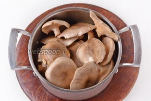 Как жарить тополевую рядовку. Подготовка рядовок к жарке 24 Как жарить тополевую рядовку. Подготовка рядовок к жарке 24