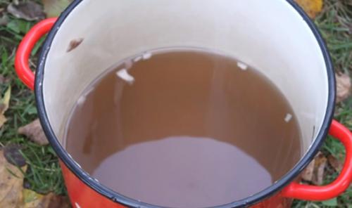 Как приготовить рядовку коричневую. Как готовить грибы бело-коричневые рядовки