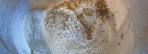 Ржаной хлеб с тмином и кориандром: полезные свойства и простой рецепт 01