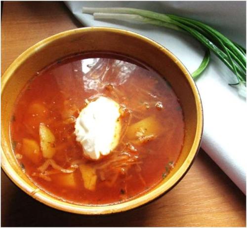 Борщ в мультиварке Редмонд. Секреты приготовления вкуснейшего борща на мясном бульоне в мультиварке Редмонд