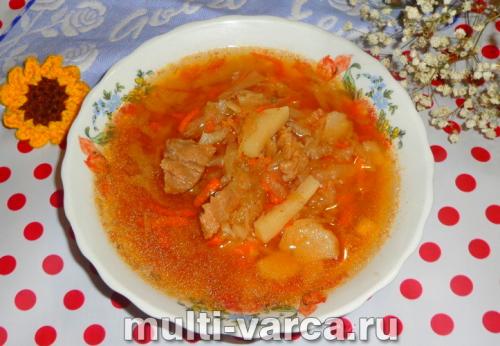 Борщ в мультиварке из свинины. Борщ со свининой в мультиварке