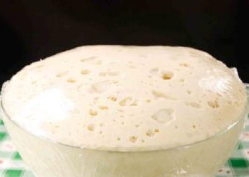 Жидкое тесто для пиццы на сметане и майонезе в духовке. 5 самых быстрых рецептов заливного теста для пиццы