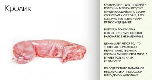 Кролик с картошкой в кастрюле. Как правильно потушить кролика с картошкой