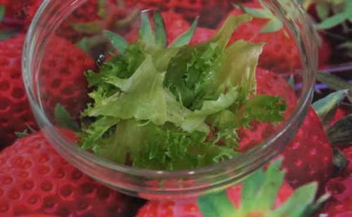 Салат с соленой семгой и яйцом. Салат с семгой слабосоленой-очень вкусные рецепты праздничного стола