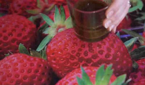 Салат с соленой семгой и яйцом. Салат с семгой слабосоленой-очень вкусные рецепты праздничного стола