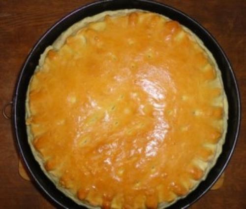 Какие ингредиенты необходимо добавить в начинку пирога с мясом. Дрожжевой пирог с мясом