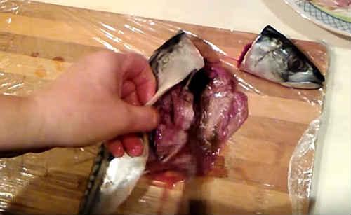 Салат из скумбрии в томатном соусе. Салат со скумбрией на зиму с овощами — очень вкусные рецепты заготовки консервов