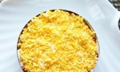 Мимоза с сардиной в томате. Классический рецепт салата мимоза с консервами и сыром