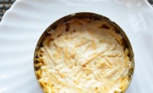 Мимоза с сардиной в томате. Классический рецепт салата мимоза с консервами и сыром