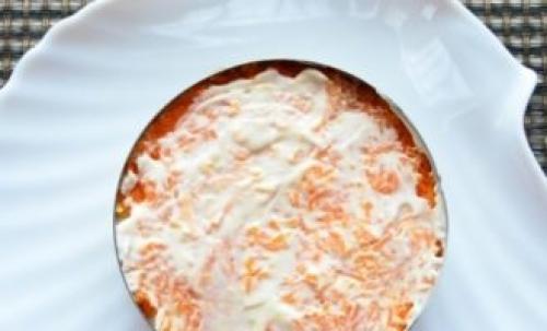 Мимоза с сардиной в томате. Классический рецепт салата мимоза с консервами и сыром