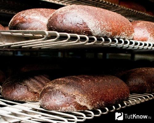 Хлеб ржаной без дрожжей. Рецепт бездрожжевого ржаного хлеба в духовке 35 Хлеб ржаной без дрожжей. Рецепт бездрожжевого ржаного хлеба в духовке 35