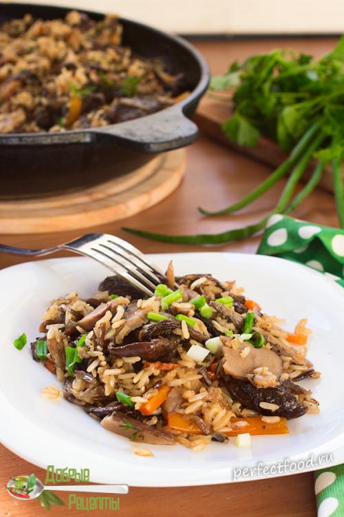 Какие блюда можно приготовить из дикого и бурого риса. Бурый рис с диким рисом и грибами — рецепт с фото и видео