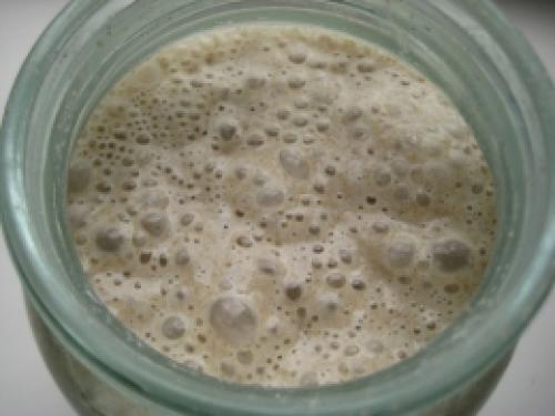 Пшеничная закваска в две подкормки. Пшеничная закваска из ржаной за сутки 19 Пшеничная закваска в две подкормки. Пшеничная закваска из ржаной за сутки 19