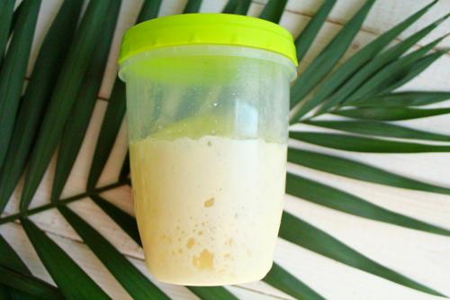 Пшеничная закваска 100% влажности. Инструкция по перекормке закваски из 50% в 100% гидратацию (итальянская методика)