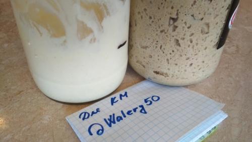 Пшеничная закваска в две подкормки. Пшеничная закваска из ржаной за сутки