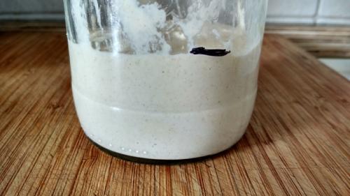 Пшеничная закваска в две подкормки. Пшеничная закваска из ржаной за сутки