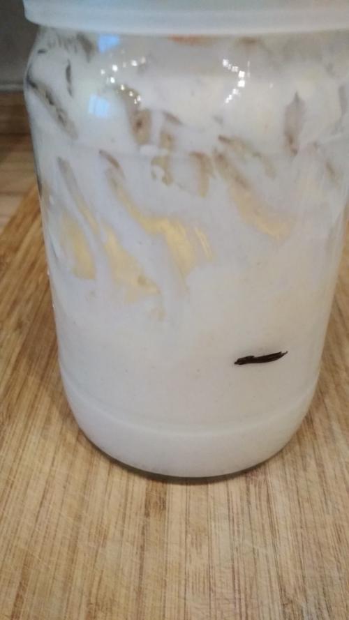 Пшеничная закваска в две подкормки. Пшеничная закваска из ржаной за сутки