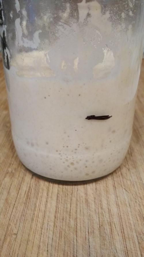 Пшеничная закваска в две подкормки. Пшеничная закваска из ржаной за сутки