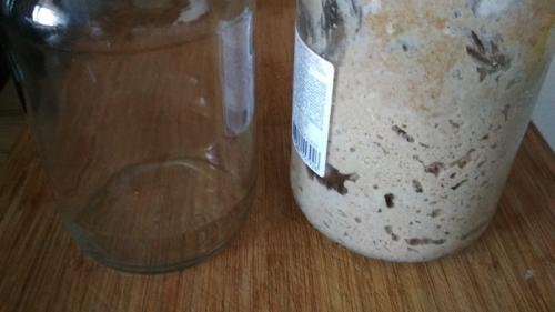 Пшеничная закваска в две подкормки. Пшеничная закваска из ржаной за сутки