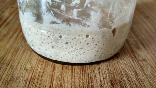 Пшеничная закваска в две подкормки. Пшеничная закваска из ржаной за сутки