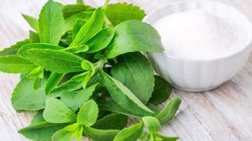 Можно ли заменить мед на что-то другое. Чем можно заменить мёд в рецепте?