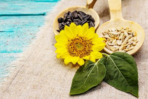 Солить или не солить: как правильно солить еду 01