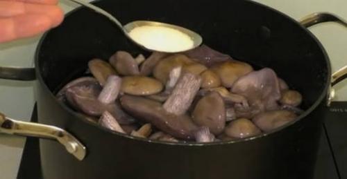 Приготовить грибы рядовки жарить. Сколько жарить рядовки 29 Приготовить грибы рядовки жарить. Сколько жарить рядовки 29