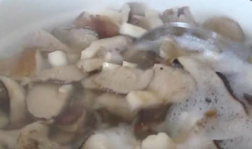 Жареные рядовки на зиму. Лучшие способы заготовки рядовок на зиму