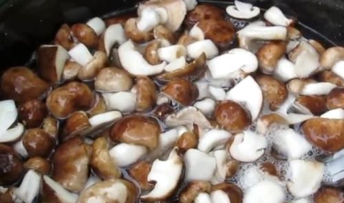 Жареные рядовки на зиму. Лучшие способы заготовки рядовок на зиму