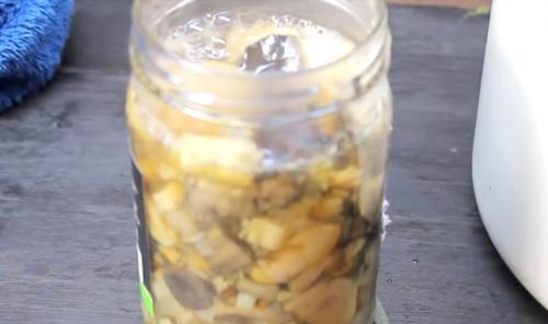 Жареные рядовки на зиму. Лучшие способы заготовки рядовок на зиму