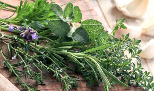 Жареные рядовки на зиму. Лучшие способы заготовки рядовок на зиму