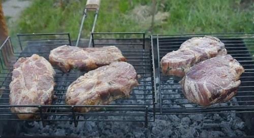 Мясо на мангале рецепты вырезка и карбонат. Стейк из свинины на мангале на решетке — рецепты вкусного маринада