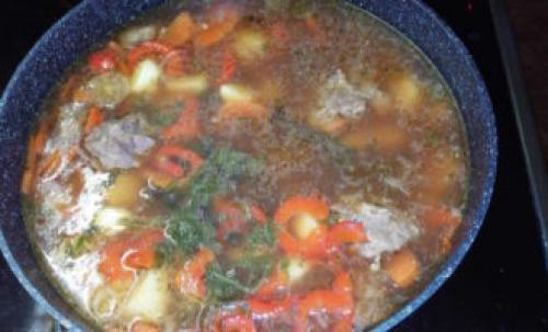 Как варить суп из конины. Шурпа из конины и картошки