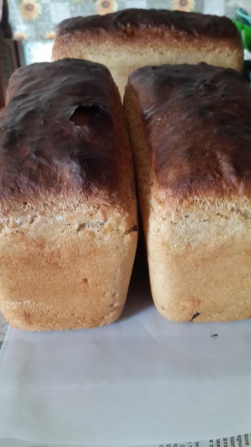 Старинные рецепты хлеба, как пекли хлеб наши бабушки. Необыкновенно вкусный, хрустящий хлеб по старинному рецепту с Вологодчины