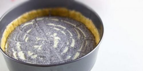 Пироги с маком и творогом. Творожно-маковый пирог Нежность