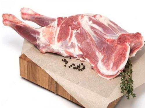 Шашлык из баранины на электрогриле. Рецепт баранины на гриле